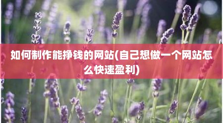 如何制作能挣钱的网站(自己想做一个网站怎么快速盈利)