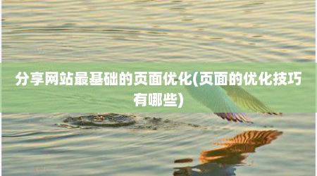 分享网站最基础的页面优化(页面的优化技巧有哪些)