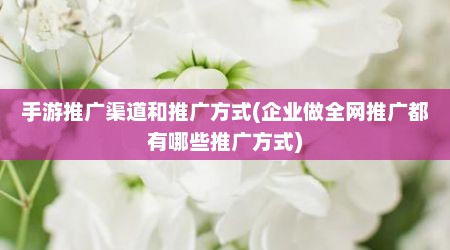 手游推广渠道和推广方式(企业做全网推广都有哪些推广方式)