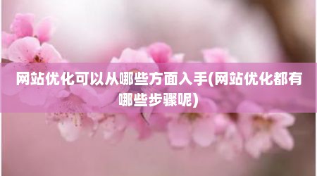 网站优化可以从哪些方面入手(网站优化都有哪些步骤呢)