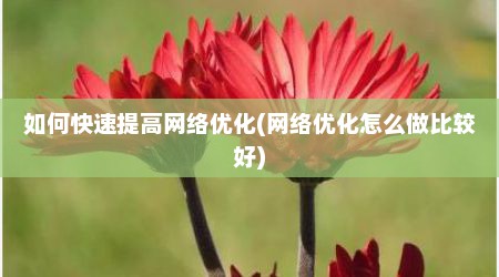 如何快速提高网络优化(网络优化怎么做比较好)