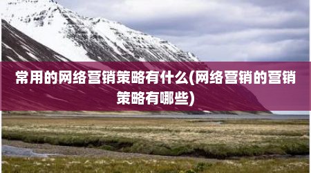 常用的网络营销策略有什么(网络营销的营销策略有哪些)