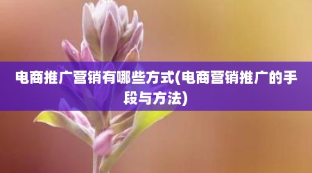 电商推广营销有哪些方式(电商营销推广的手段与方法)