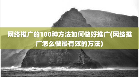 网络推广的100种方法如何做好推广(网络推广怎么做最有效的方法)