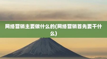 网络营销主要做什么的(网络营销首先要干什么)