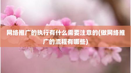 网络推广的执行有什么需要注意的(做网络推广的流程有哪些)
