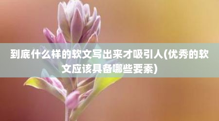 到底什么样的软文写出来才吸引人(优秀的软文应该具备哪些要素)