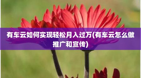 有车云如何实现轻松月入过万(有车云怎么做推广和宣传)