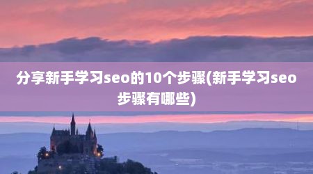 分享新手学习seo的10个步骤(新手学习seo步骤有哪些)