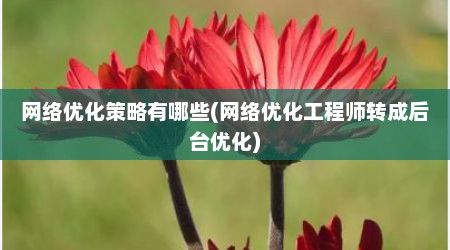 网络优化策略有哪些(网络优化工程师转成后台优化)