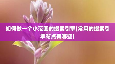如何做一个小范围的搜索引擎(常用的搜索引擎站点有哪些)