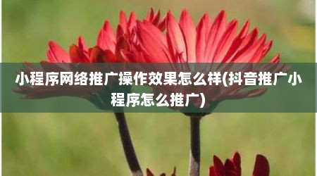 小程序网络推广操作效果怎么样(抖音推广小程序怎么推广)
