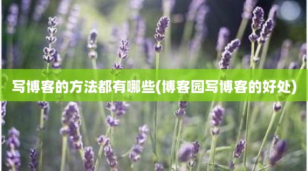 写博客的方法都有哪些(博客园写博客的好处)