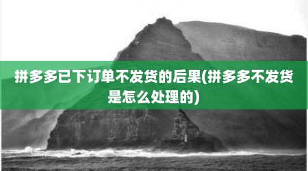拼多多已下订单不发货的后果(拼多多不发货是怎么处理的)