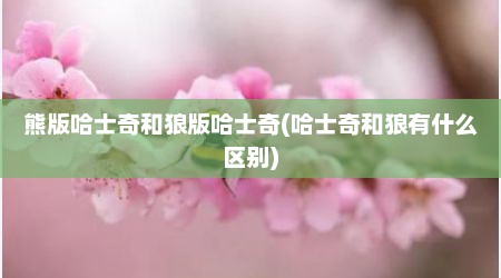熊版哈士奇和狼版哈士奇(哈士奇和狼有什么区别)