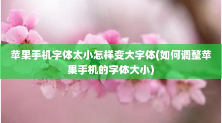 苹果手机字体太小怎样变大字体(如何调整苹果手机的字体大小)