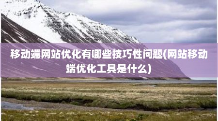 移动端网站优化有哪些技巧性问题(网站移动端优化工具是什么)