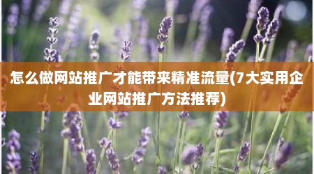 怎么做网站推广才能带来精准流量(7大实用企业网站推广方法推荐)