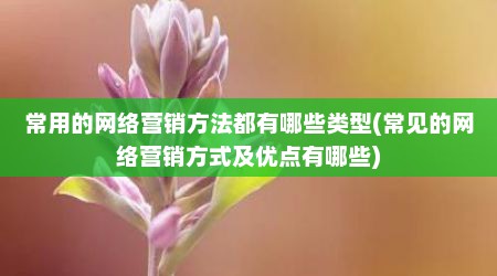 常用的网络营销方法都有哪些类型(常见的网络营销方式及优点有哪些)