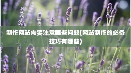 制作网站需要注意哪些问题(网站制作的必备技巧有哪些)