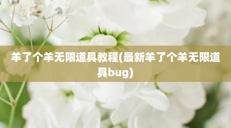 羊了个羊无限道具教程(最新羊了个羊无限道具bug)