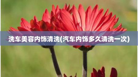 洗车美容内饰清洗(汽车内饰多久清洗一次)