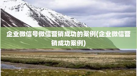 企业微信号微信营销成功的案例(企业微信营销成功案例)