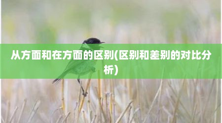 从方面和在方面的区别(区别和差别的对比分析)