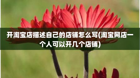 开淘宝店描述自己的店铺怎么写(淘宝网店一个人可以开几个店铺)
