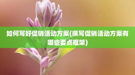 如何写好促销活动方案(撰写促销活动方案有哪些要点框架)