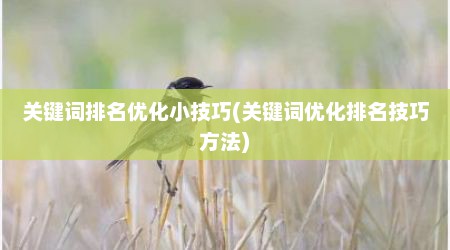 关键词排名优化小技巧(关键词优化排名技巧方法)