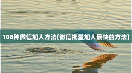 108种微信加人方法(微信批量加人最快的方法)