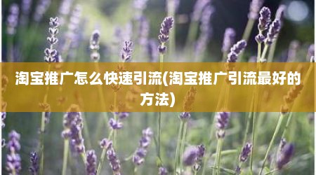 淘宝推广怎么快速引流(淘宝推广引流最好的方法)