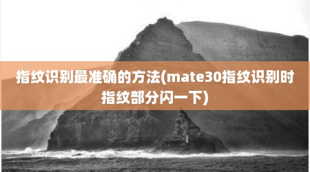 指纹识别最准确的方法(mate30指纹识别时指纹部分闪一下)