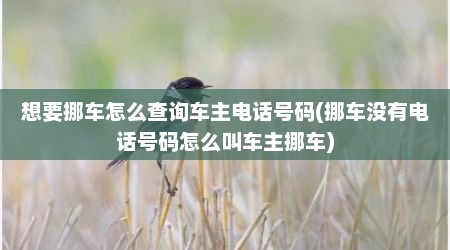 想要挪车怎么查询车主电话号码(挪车没有电话号码怎么叫车主挪车)