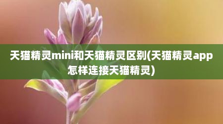 天猫精灵mini和天猫精灵区别(天猫精灵app怎样连接天猫精灵)
