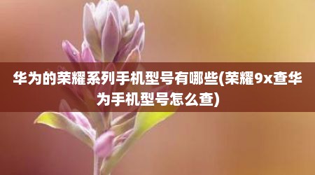 华为的荣耀系列手机型号有哪些(荣耀9x查华为手机型号怎么查)