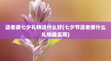 送老婆七夕礼物送什么好(七夕节送老婆什么礼物最实用)