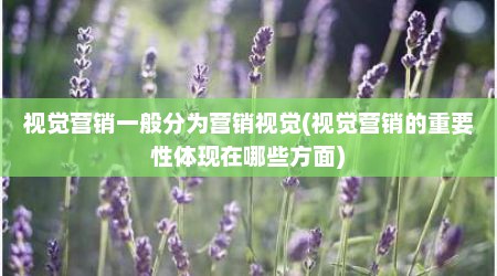 视觉营销一般分为营销视觉(视觉营销的重要性体现在哪些方面)
