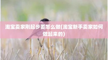 淘宝卖家刚起步要怎么做(淘宝新手卖家如何做起来的)