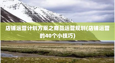 店铺运营计划方案之商品运营规划(店铺运营的40个小技巧)