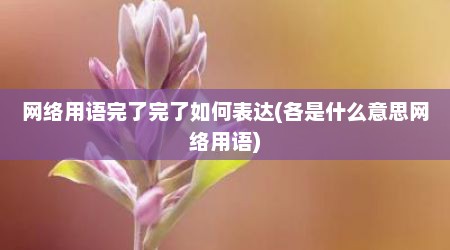 网络用语完了完了如何表达(各是什么意思网络用语)