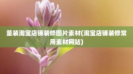 童装淘宝店铺装修图片素材(淘宝店铺装修常用素材网站)