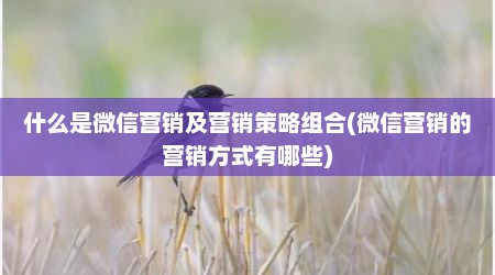 什么是微信营销及营销策略组合(微信营销的营销方式有哪些)