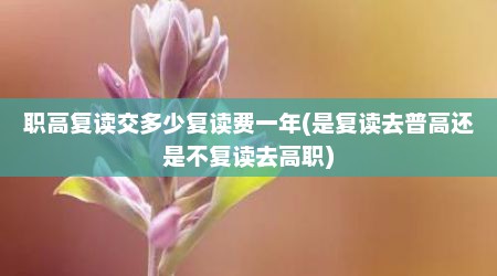 职高复读交多少复读费一年(是复读去普高还是不复读去高职)