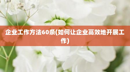 企业工作方法60条(如何让企业高效地开展工作)