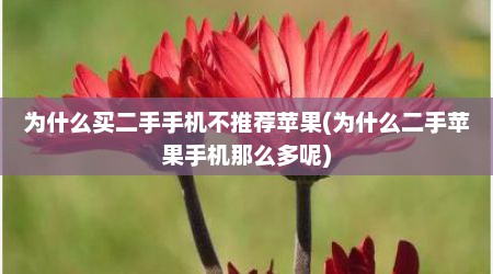 为什么买二手手机不推荐苹果(为什么二手苹果手机那么多呢)