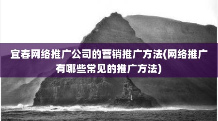宜春网络推广公司的营销推广方法(网络推广有哪些常见的推广方法)