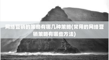 网络营销的策略有哪几种策略(常用的网络营销策略有哪些方法)