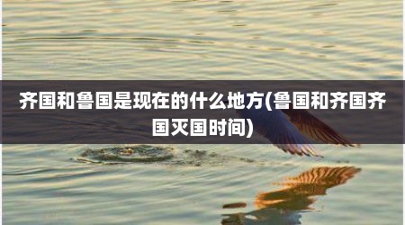 齐国和鲁国是现在的什么地方(鲁国和齐国齐国灭国时间)